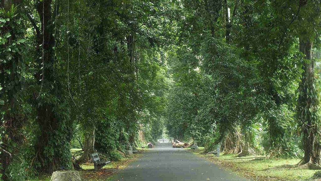 KEBUN RAYA BOGOR