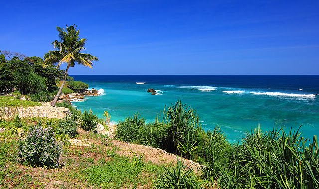 Joybiz Nusa Tenggara Timur