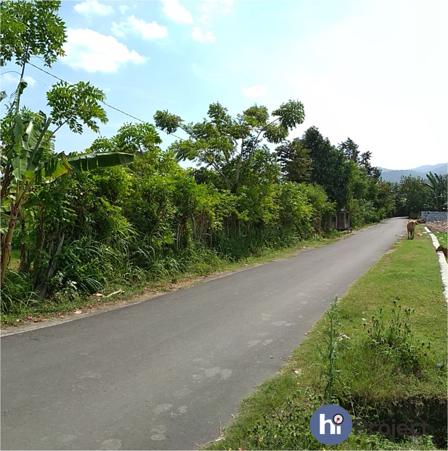 img-1538969437.jpg