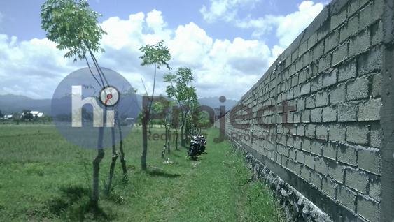 img-1538972900.jpg