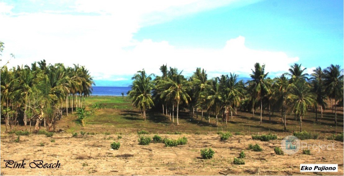 img-1539834901.jpg