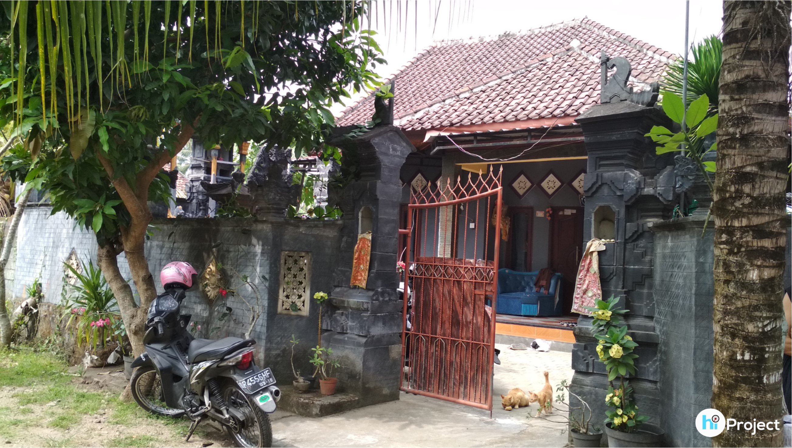 img-1540360730.jpg