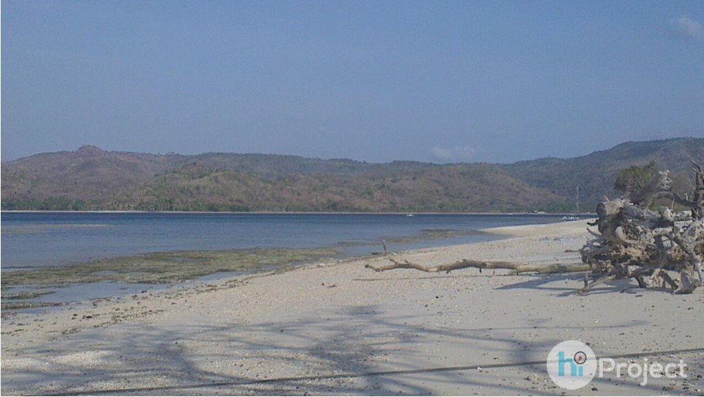 img-1541216447.jpg