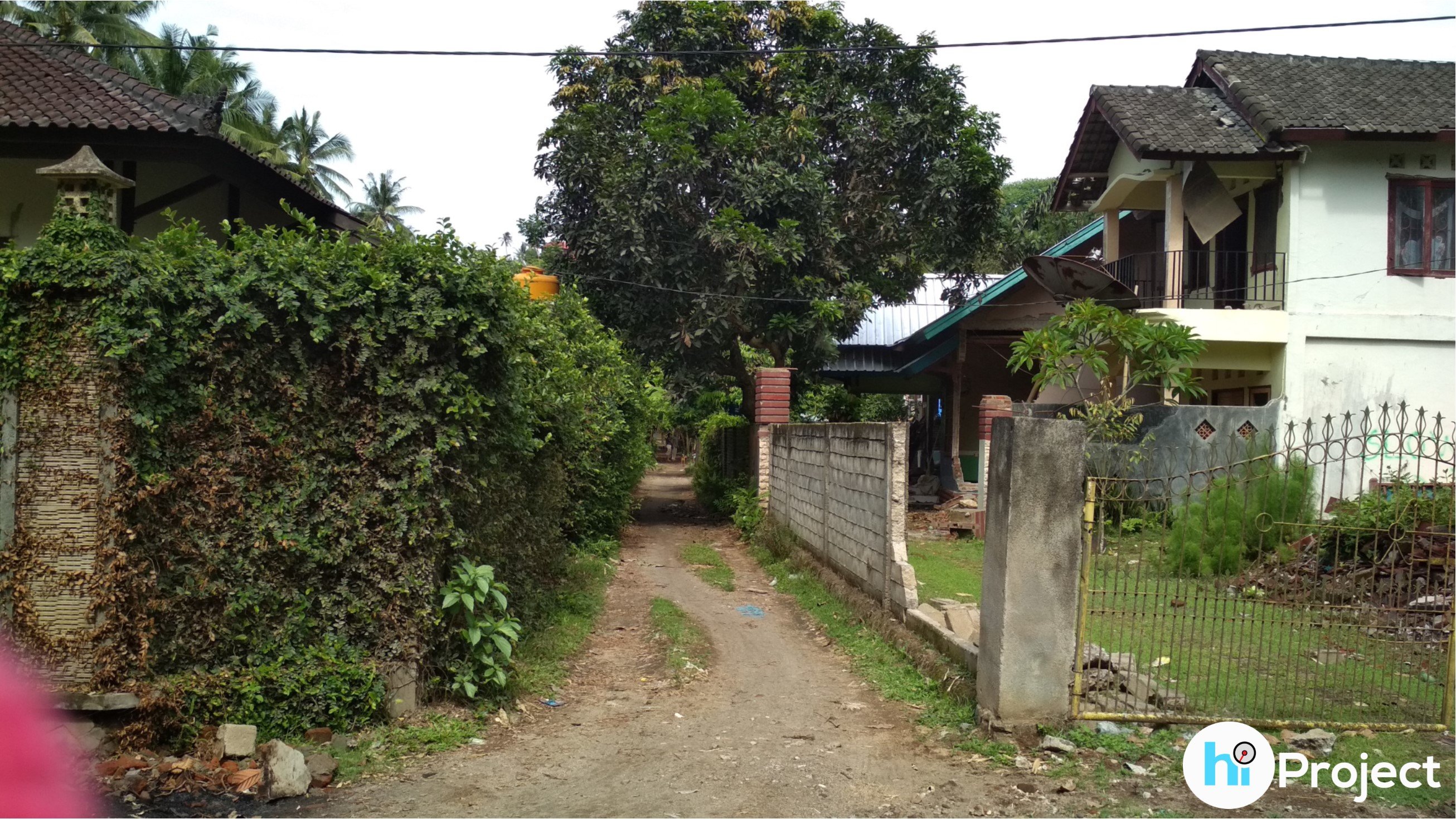 img-1543555005.jpg
