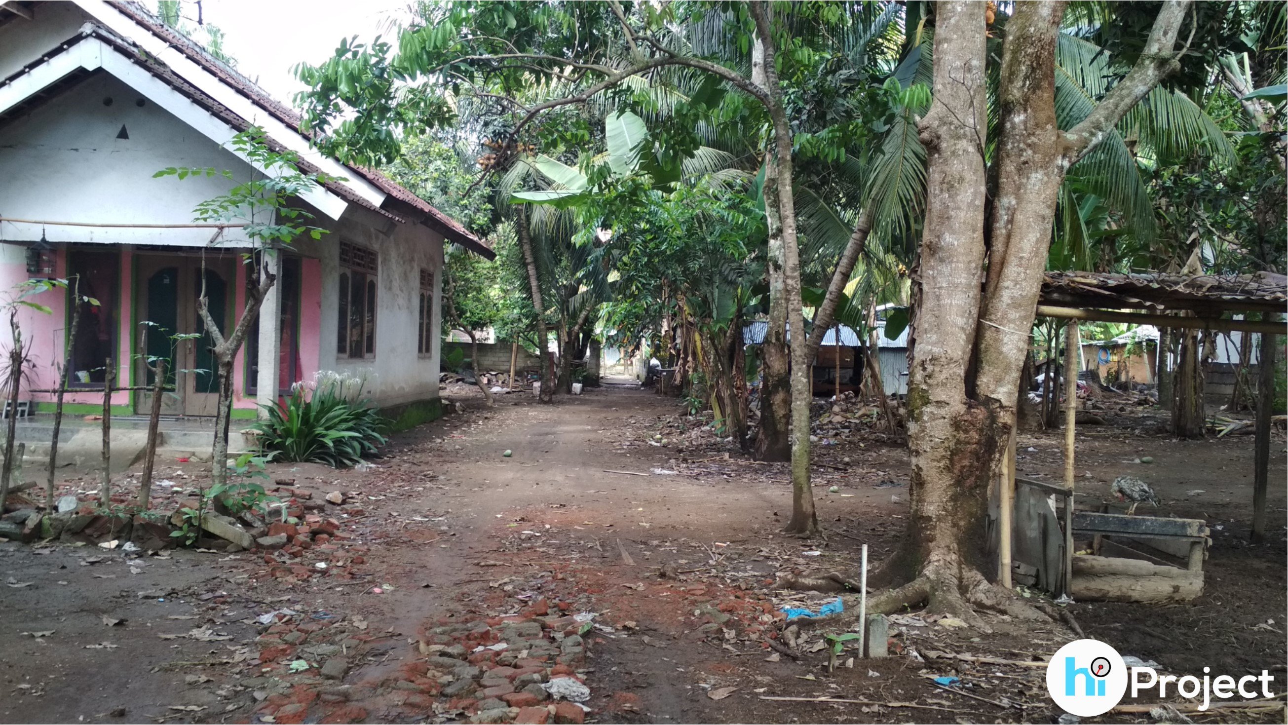 img-1543555368.jpg