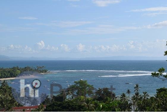 img-1544754214.jpg
