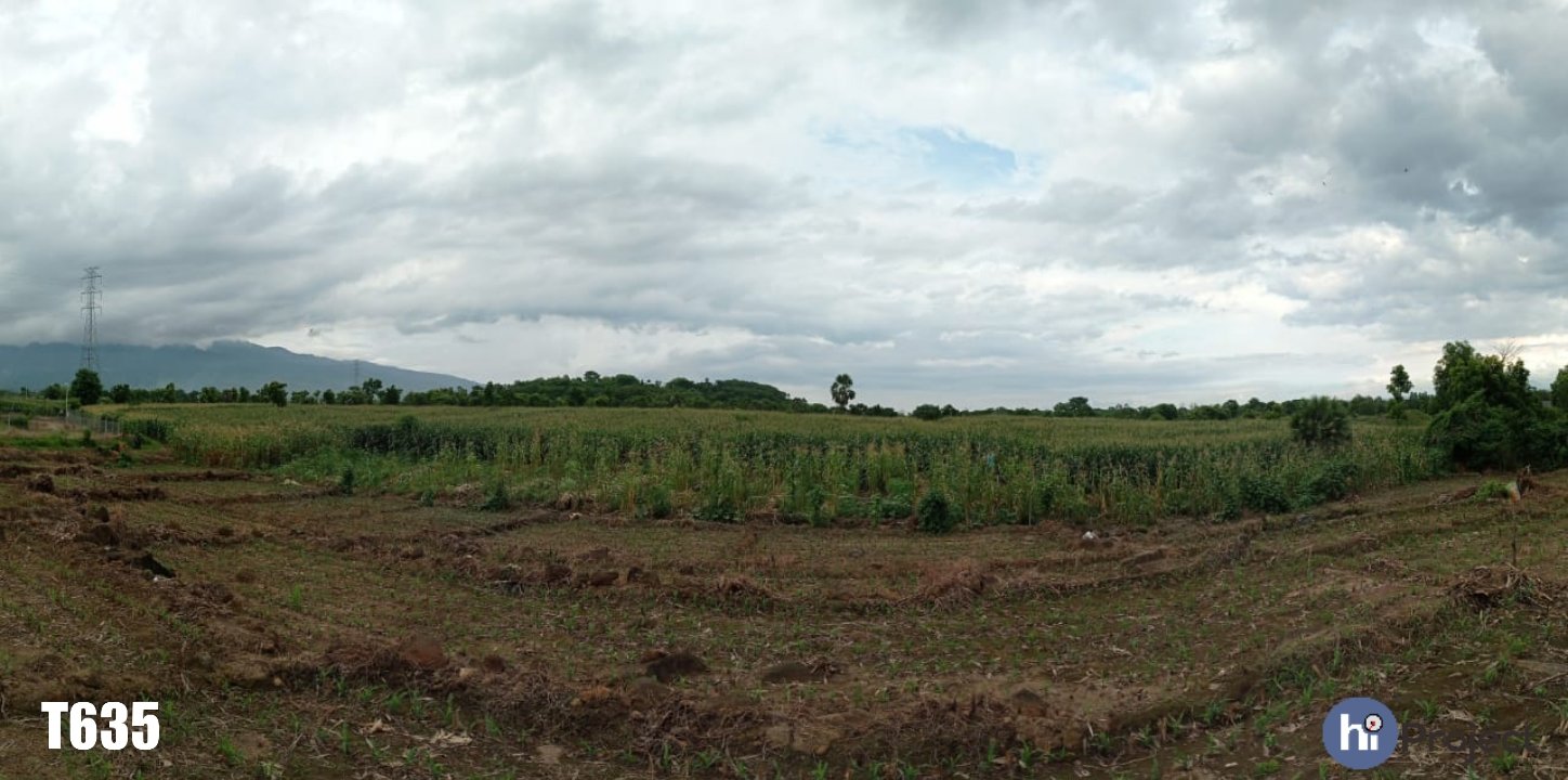 img-1654435302.jpg