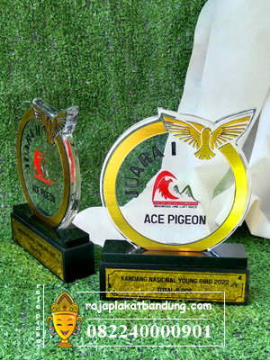 piala ace pigeon, piala akrilik, piala merpati, piala merpati akrilik, piala burung, piala kontes burung, piala lovebird, piala kenari, piala gantangan, piala akrilik burung, piala akrilik bandung, piala akrilik, piala kejuaraan, piala bandung, piala premium, piala custom, piala akrilik pomsi, piala pomsi, plakat pomsi, plakat akrilik, plakat akrilik pomsi