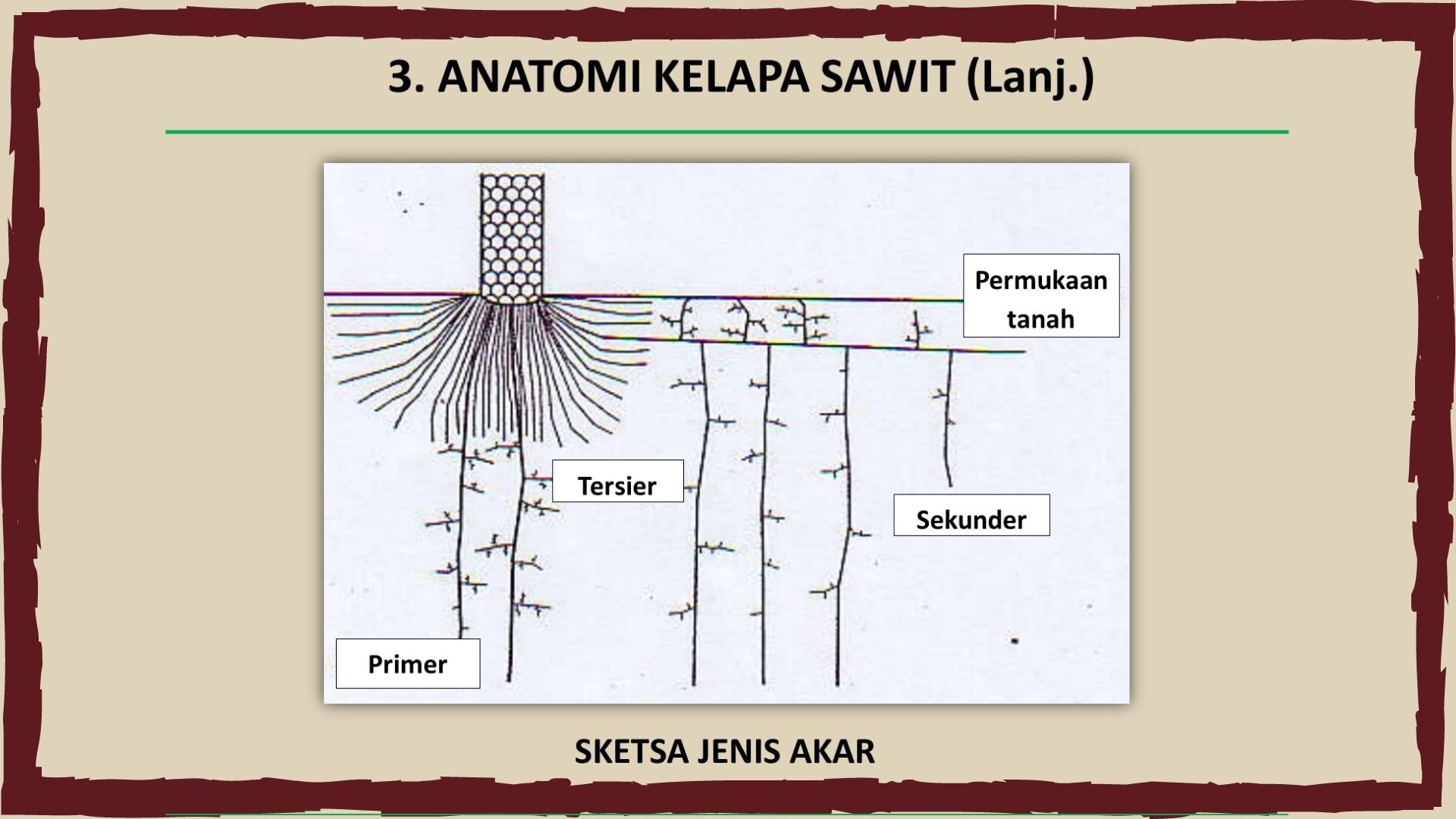 img-1687835648.jpg