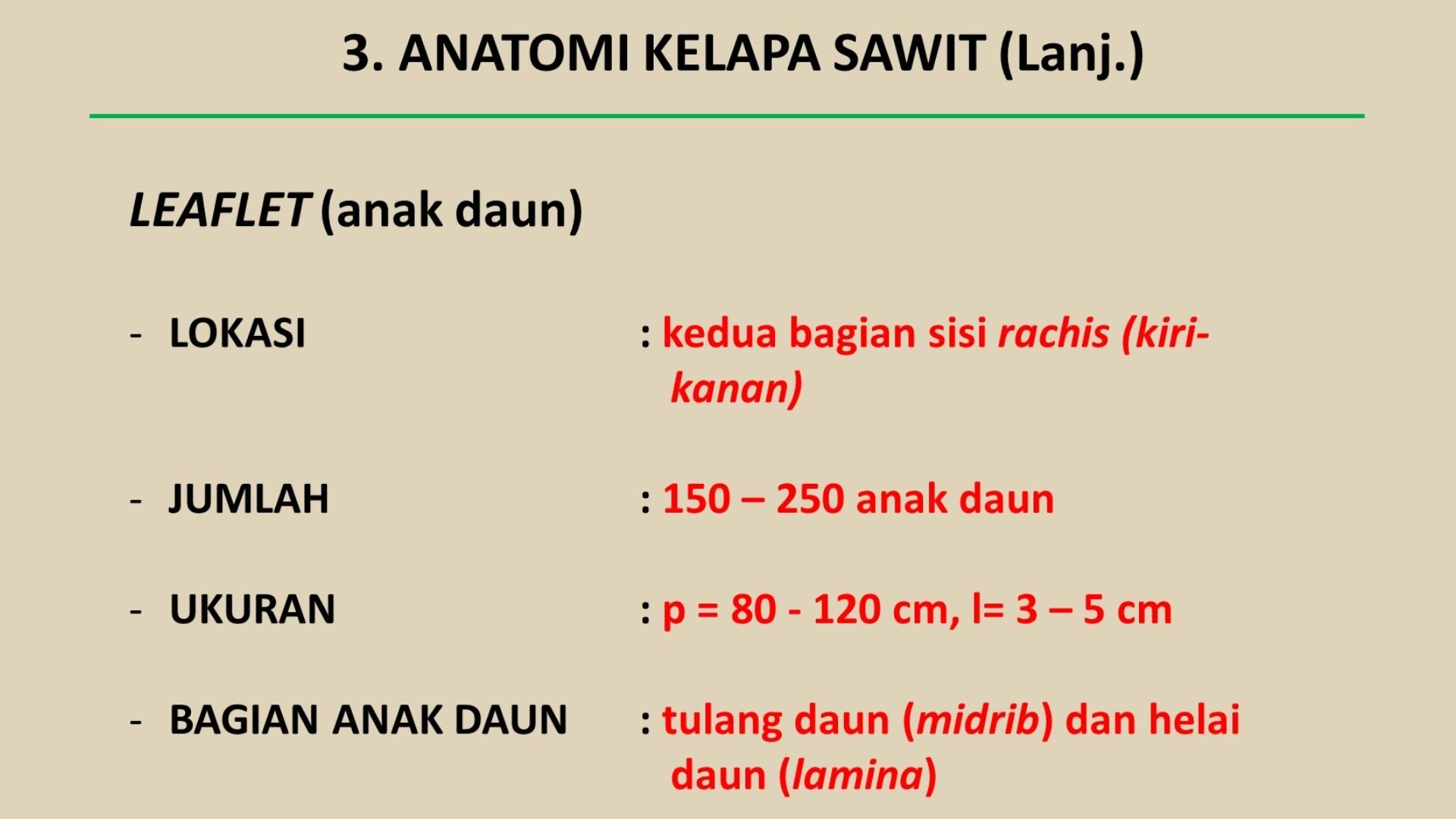 img-1687835999.jpg