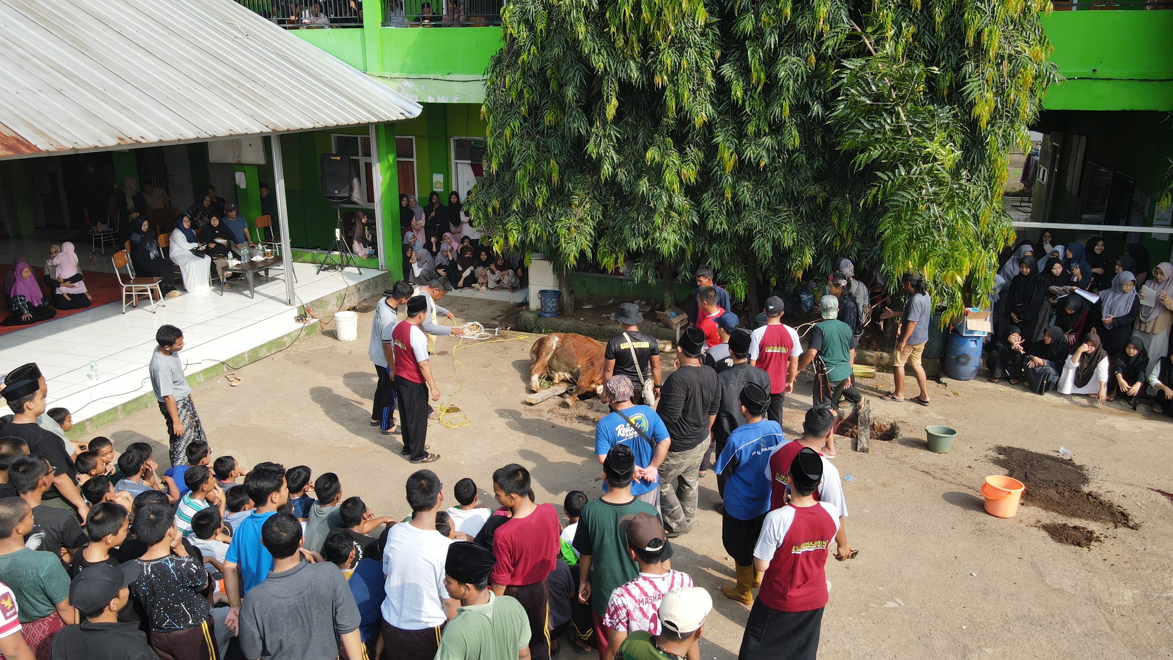 img-1749324461.jpg