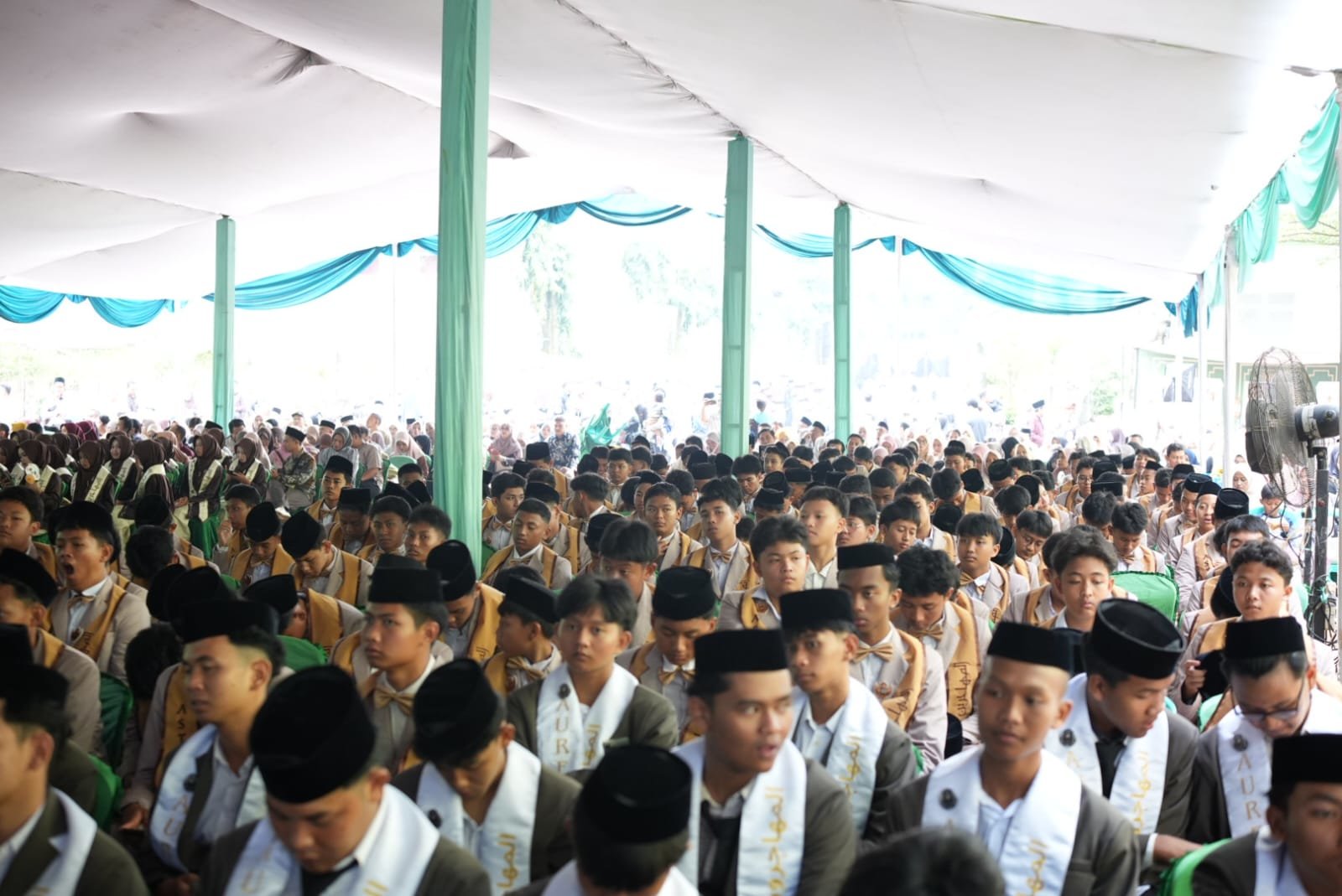 img-1779003999.jpg