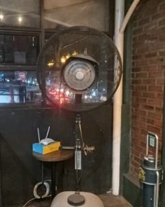 img-1779345393.jpg