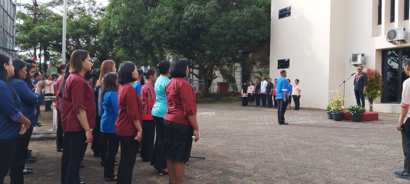img-1784115375.jpg
