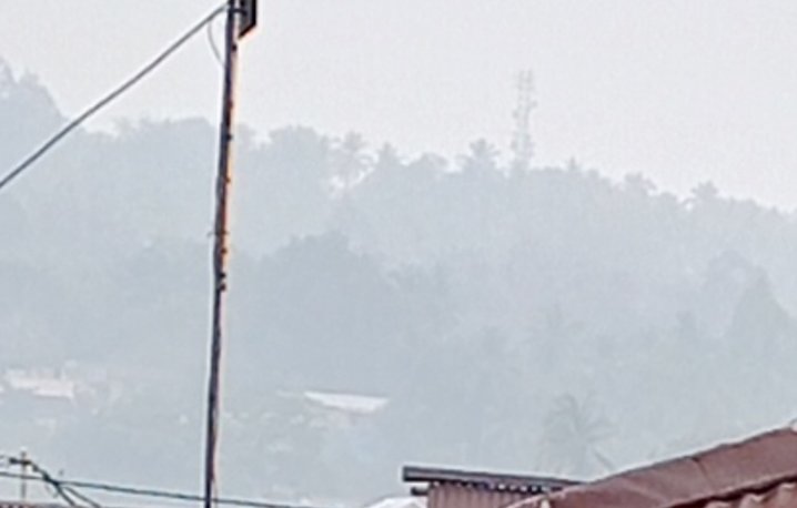 img-1791931904.jpg