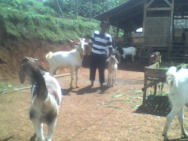 img-1424941277.jpg