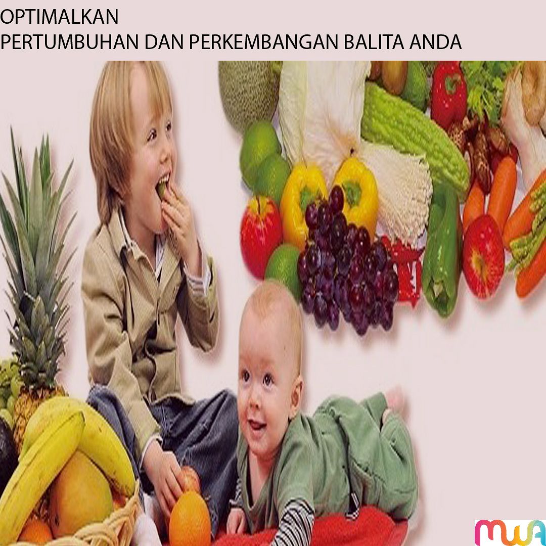 INILAH 5 LANGKAH AGAR BALITA ANDA DAPAT TUMBUH DAN BERKEMBANG DENGAN OPTIMAL