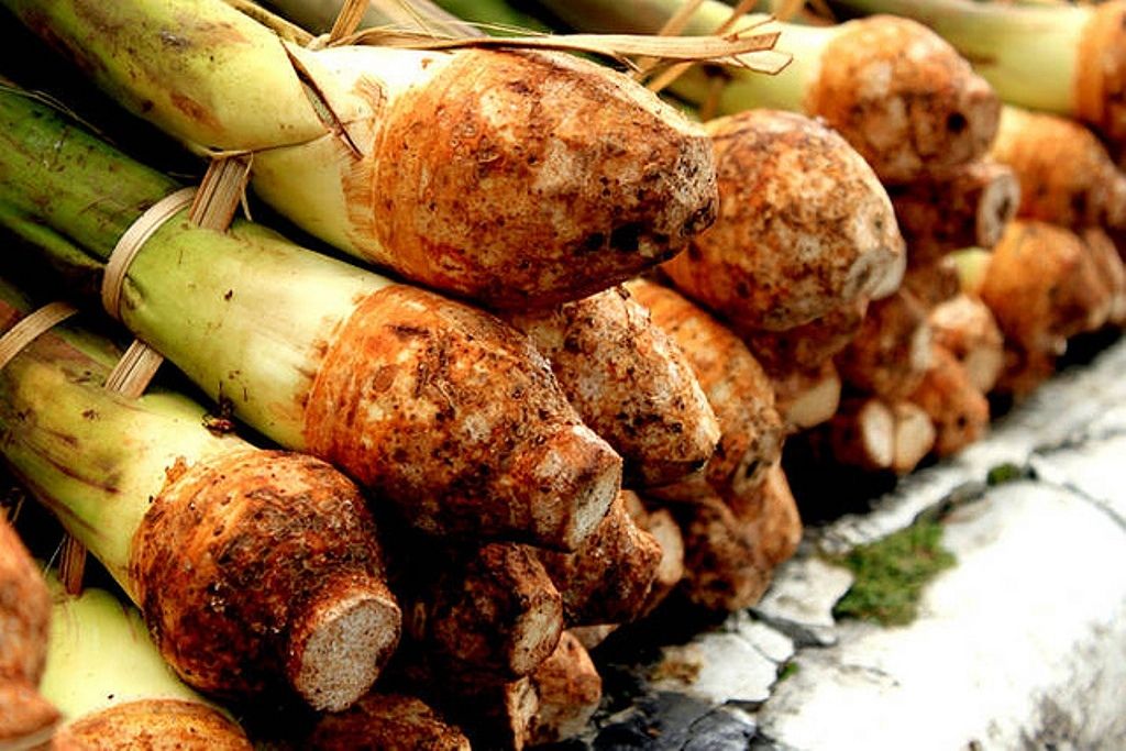 KULAK KULIK TALAS, PANGAN LOKAL PENGGANTI TEPUNG TERIGU