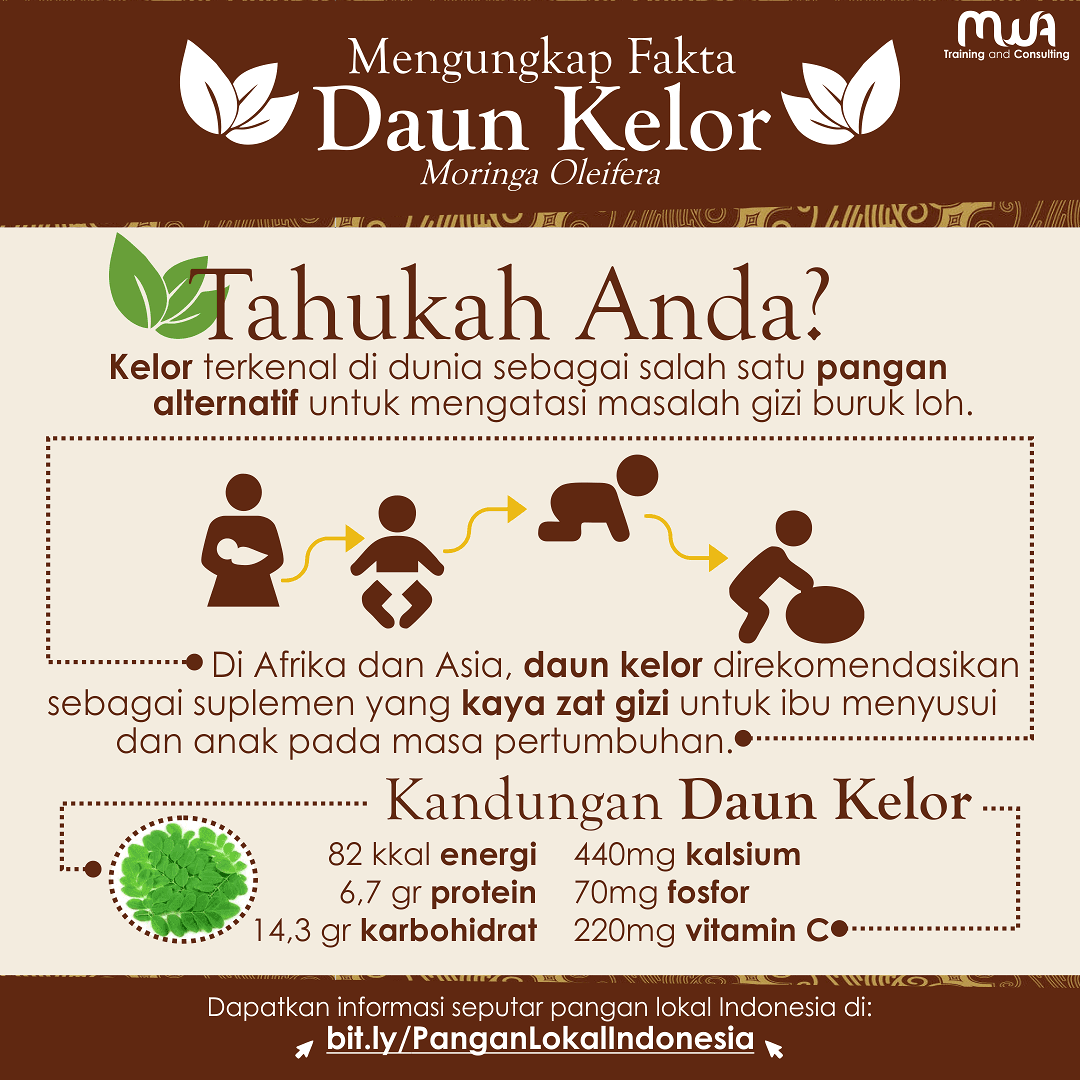 Mengungkap Fakta Daun Kelor