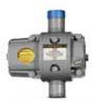 Romet Rotary Gas Meter G100-Romet Limited
