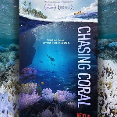 Review Film: Chasing Coral, Film Dokumenter taste Drama Korea