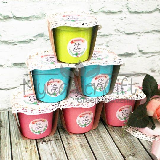 Sukulen dan Kaktus Kain Goni - Souvenir Kaktus Mini
