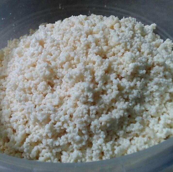 MINUM KEFIR