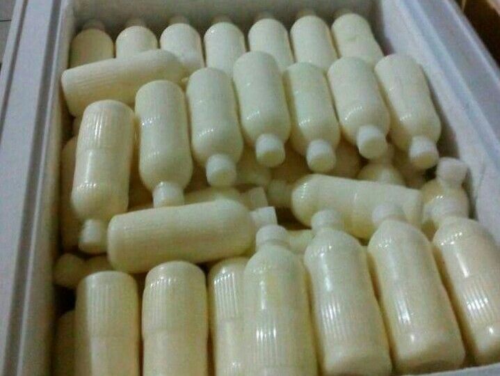 TENTANG KEFIR