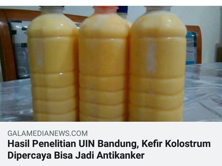 KEFIR UNTUK KANKER