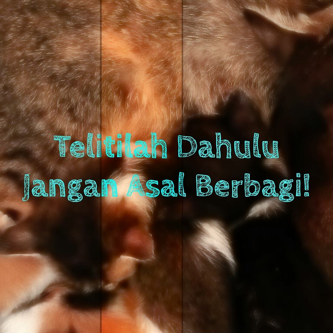 Telitilah Dahulu Jangan Asal Berbagi!