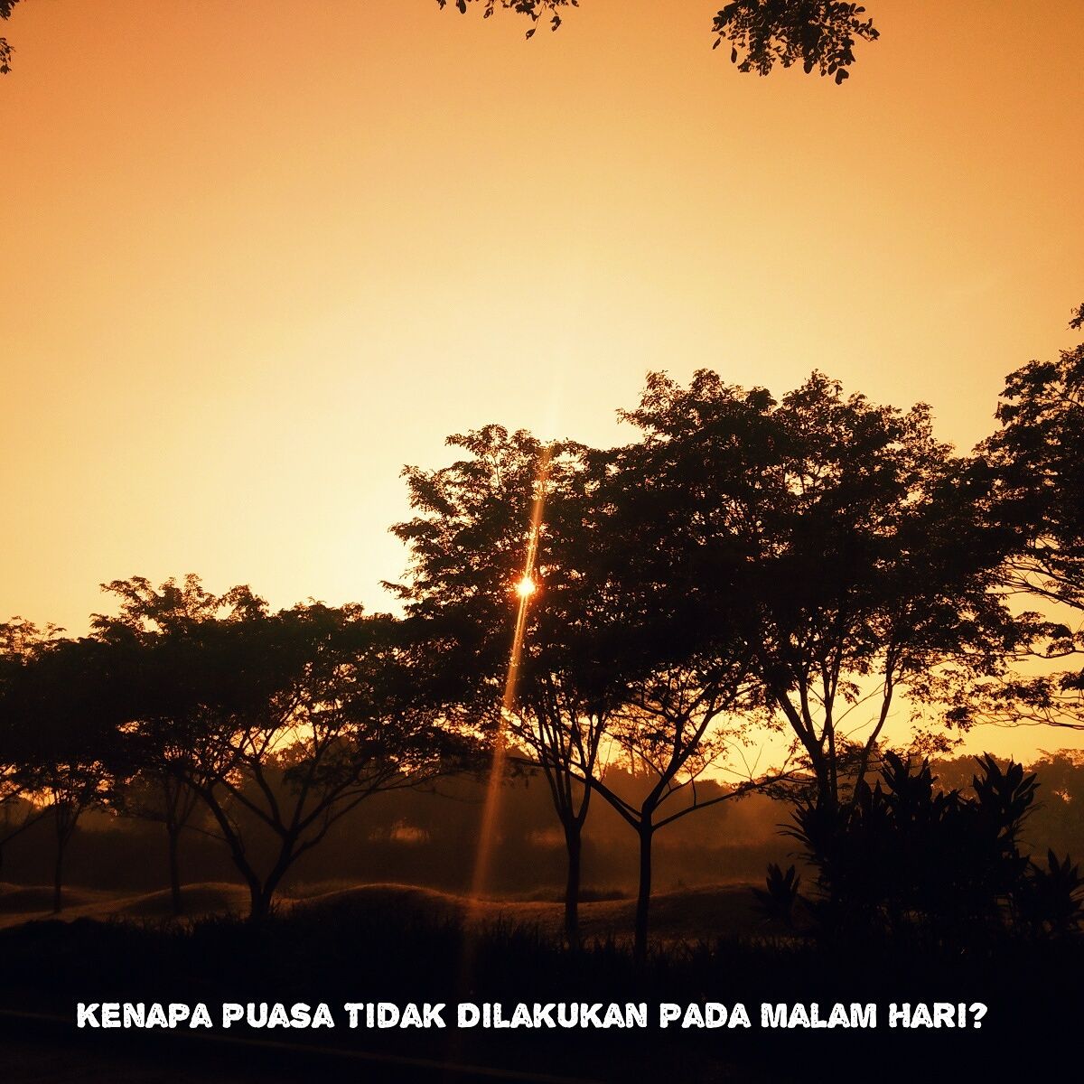 Kenapa Puasa Tidak Dilakukan Pada Malam Hari?