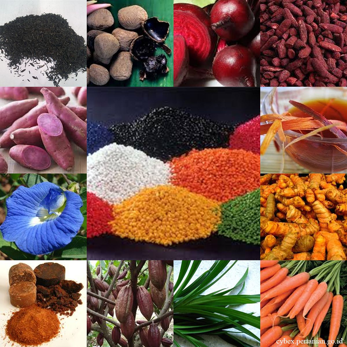 Hasil gambar untuk gambar pewarna alami