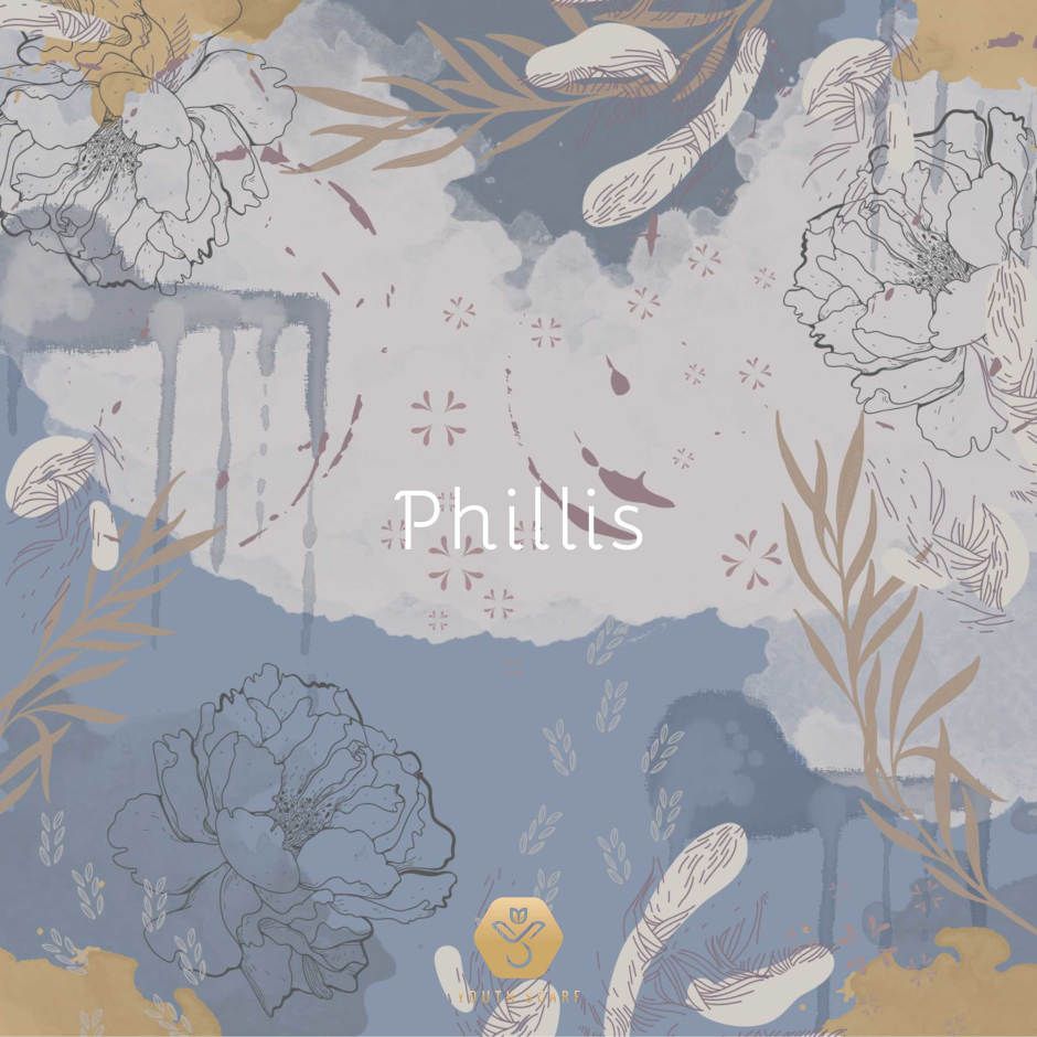 YS V.17 PHILLIS (VOL 2)
