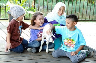 Doa Menyembelih Hewan Qurban