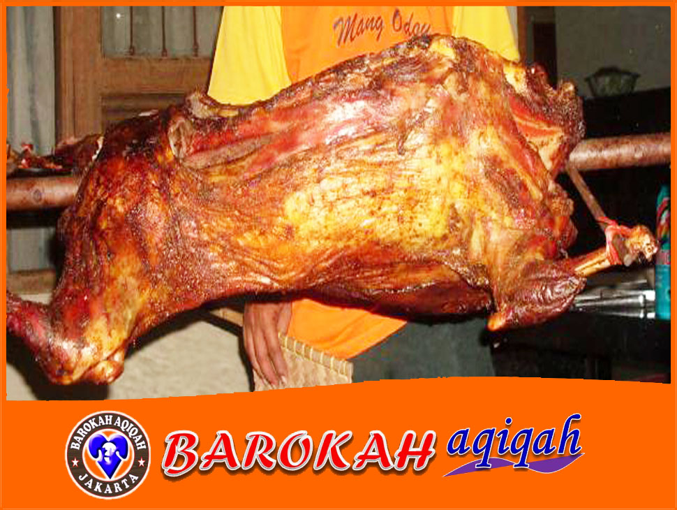 img-1451393060.jpg