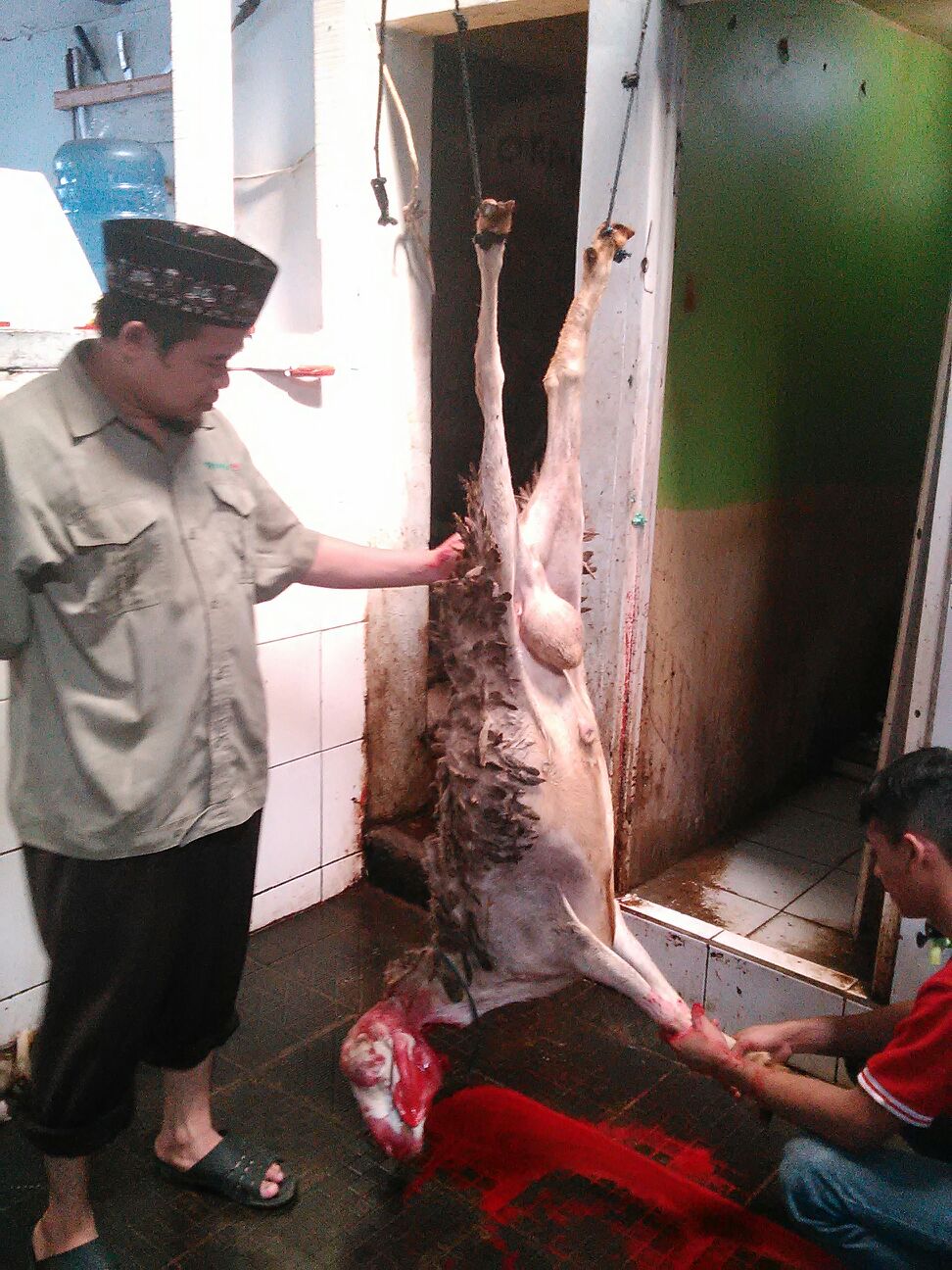 img-1451562686.jpg