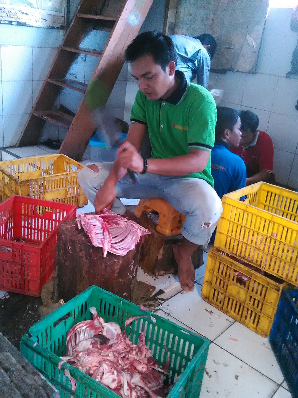 img-1451562714.jpg