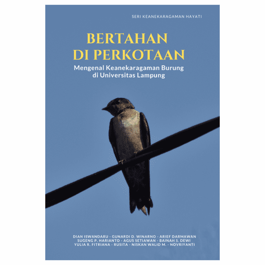 Bertahan di Perkotaan: Mengenal Keanekaragaman Burung di Universitas Lampung