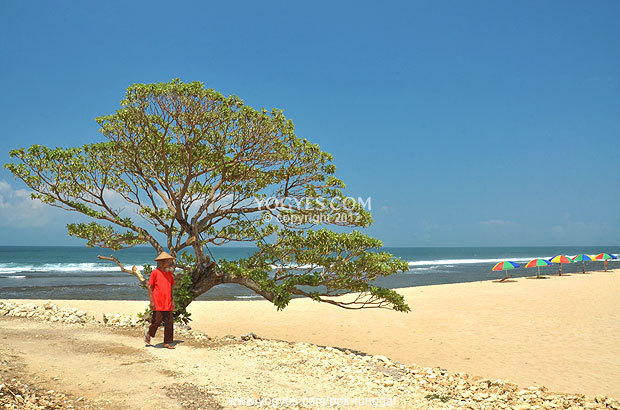 Pesona pantai antimainstream di Gunungkidul