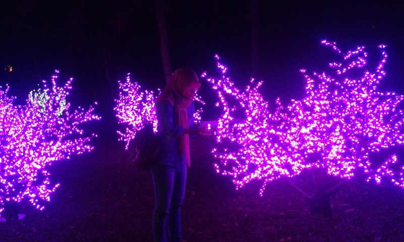 img-1467293420.jpg