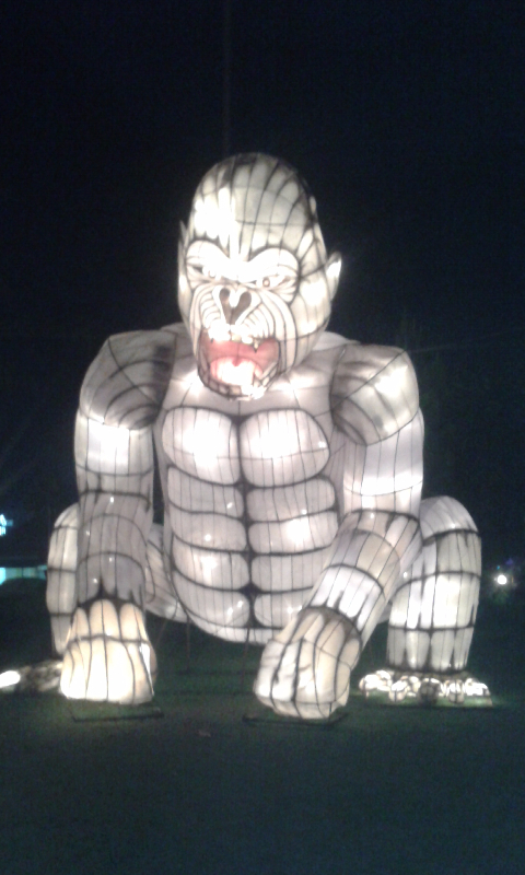 img-1467293445.jpg