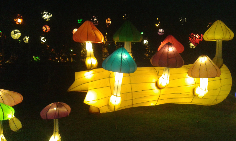 Yuk, berwahana seru di Taman Lampion Kota Bogor