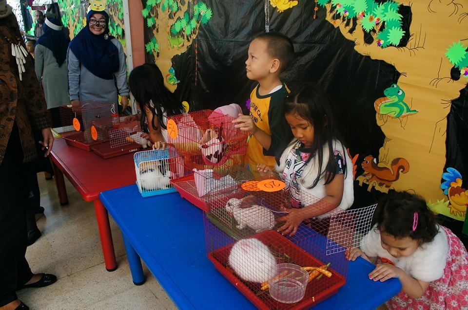 PET DAY 2017