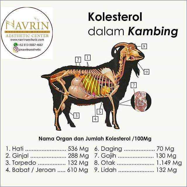 MITOS FAKTA Kambing Tidak Menyebabkan Kolesterol