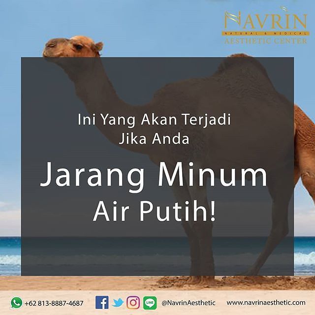 Ini Yang Akan Terjadi Jika Kamu Jarang Minum Air Putih
