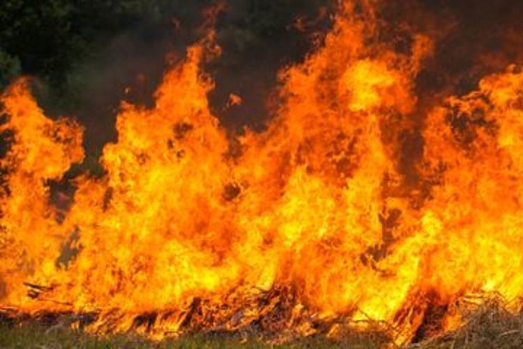 Kebakaran Pabrik Karung di Depok, 12 Unit Damkar Dikerahkan