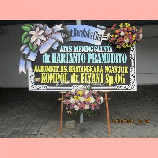 Bunga Papan Malang 017