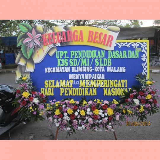 Bunga Papan Malang 011