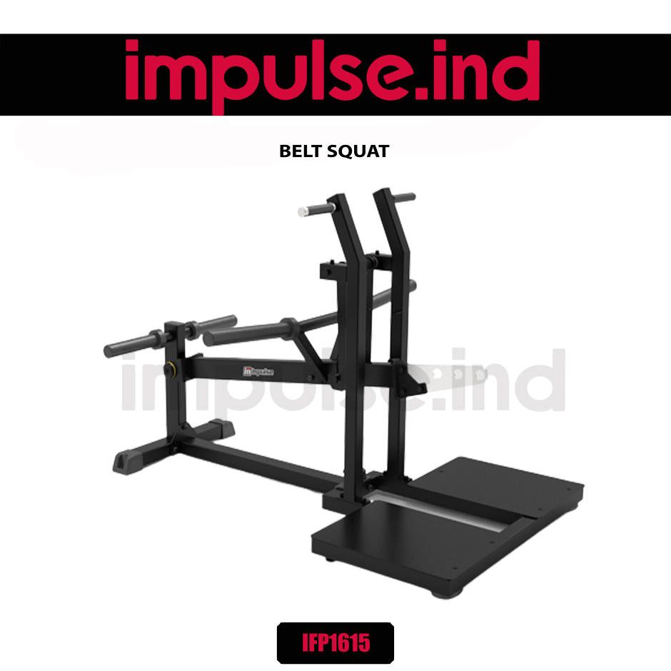 IFP1615 BELT SQUAT