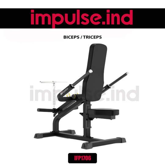 IFP1706 BICEPS/TRICEPS